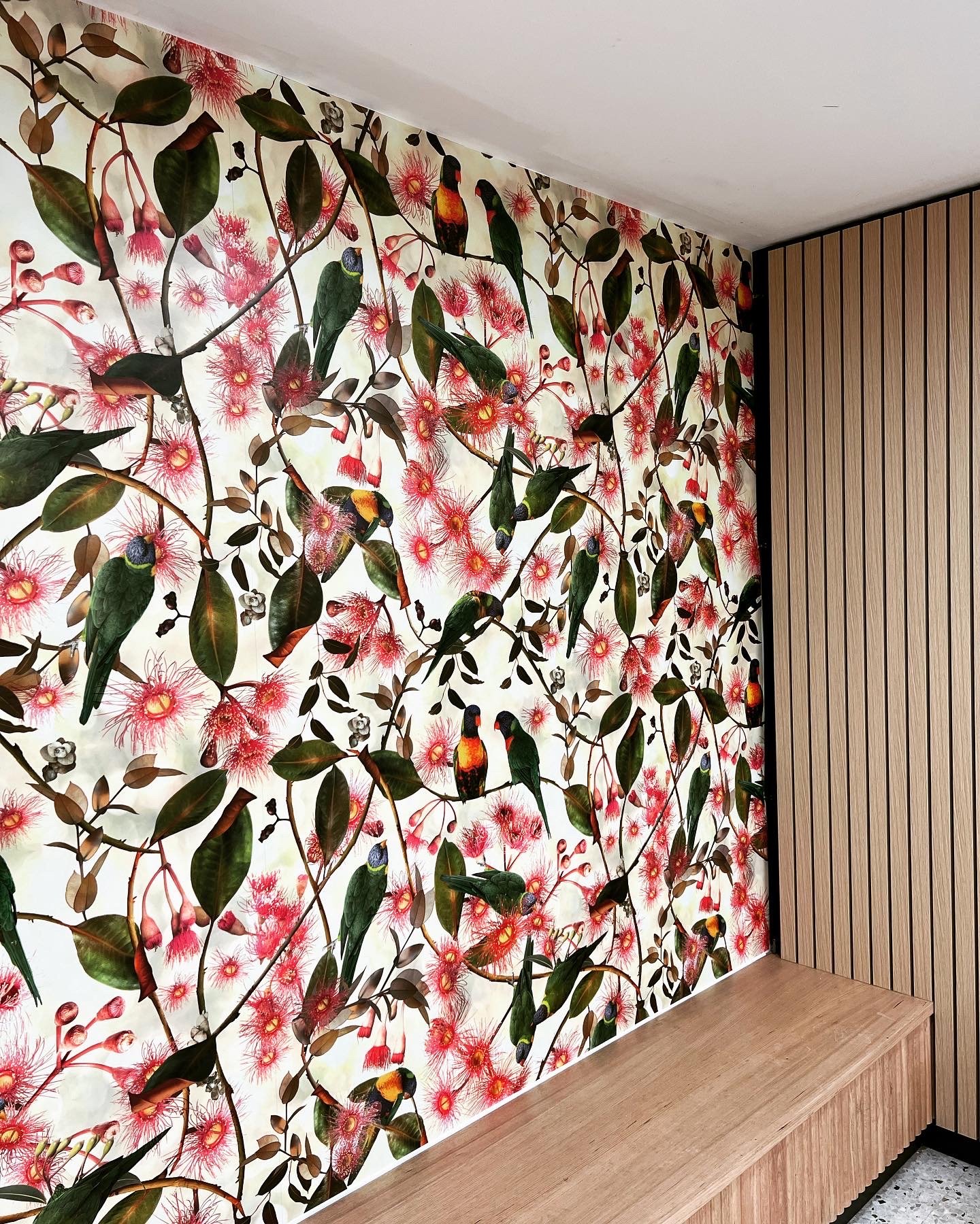 Thistle_Wallpaper___Brunswick_Foyer___Beaks_and_Blooms_Sunrise_SAV.jpeg