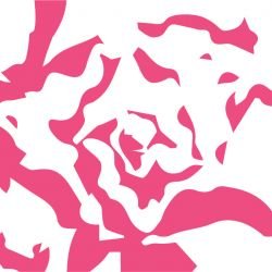 gardenlife flora petal detail