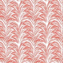 gardenlife zebra fern watermelon