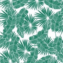 fronds silhouette falling fronds marine white