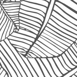 fronds silhouette leaf overlay lead white detail