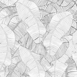 fronds silhouette leaf overlay white lead twotone