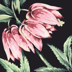 jungle chic jungle lily night