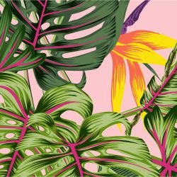 jungle chic lavish candyfloss