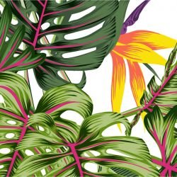 jungle chic lavish day