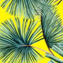 jungle chic leafy layers bright sunshine 