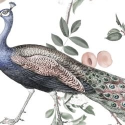 jungle chic peacock jungle day