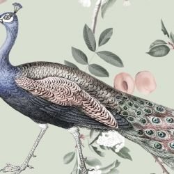 jungle chic peacock jungle swamp