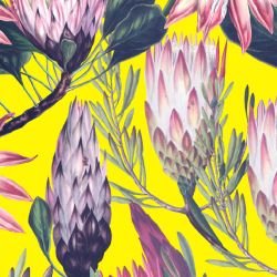 jungle chic protea jungle bright sunshine