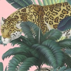 jungle chic royal jungle candyfloss