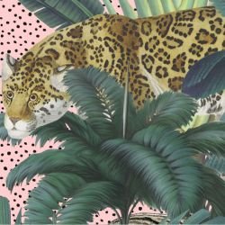 jungle chic royal jungle candyfloss spot