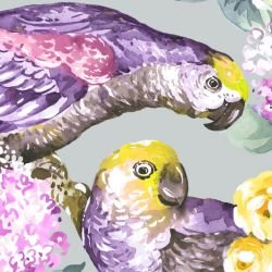 jungle chic beautiful blooms grey