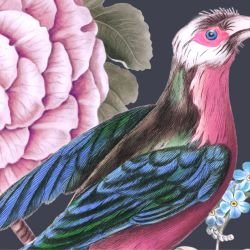 jungle chic blooming birds night