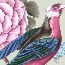 jungle chic blooming birds swamp