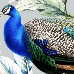 jungle chic eden grey