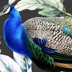 jungle chic eden night