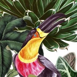 jungle chic tropical woodlands day