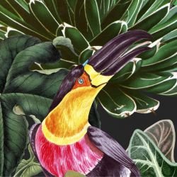 jungle chic tropical woodlands night