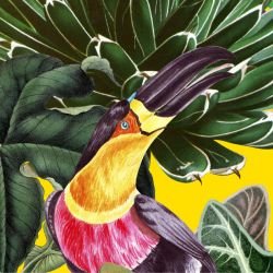 jungle chic tropical woodlands sunshine