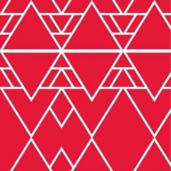 kg basics morocco reverse capsicum