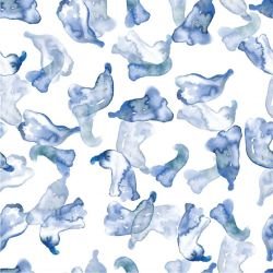 bushland blooms jacaranda blue