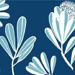 coastal banksia coastal detail