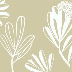 coastal banksia white sand detail