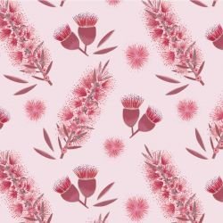 coastal bottlebrush blush