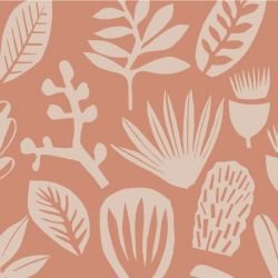 coastal bushwalk desert detail