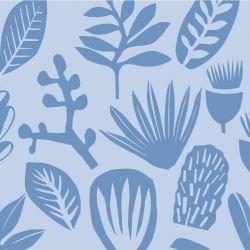 coastal bushwalk dusk detail