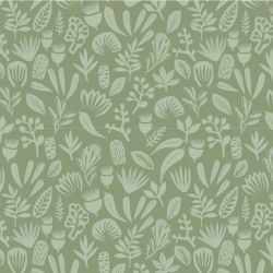 coastal bushwalk forest