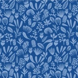 coastal bushwalk ocean