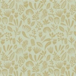 coastal bushwalk sand