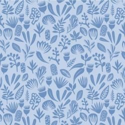 coastal bushwalk dusk