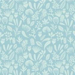 coastal bushwalk skyblue