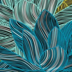 fronds lily frond lush detail