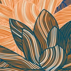 fronds lily frond winterlight detail