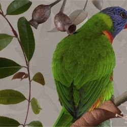 australian forest amidst the gums sand detail