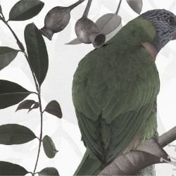 australian forest amidst the gums sepia detail
