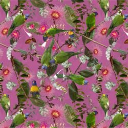 australian forest amidst the gums berry