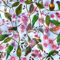 australian forest beaks and blooms cloudy