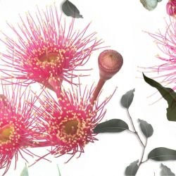 australian forest blossom bliss allover detail