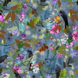 australian forest cacophony bright