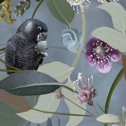 australian forest cacophony dusk detail