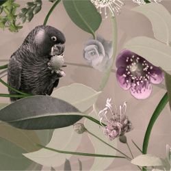 australian forest cacophony green detail