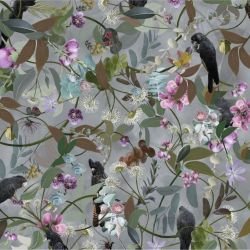 australian forest cacophony grey