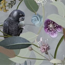 australian forest cacophony grey detail