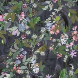 australian forest cacophony midnight