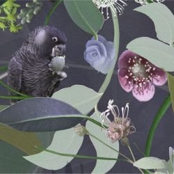 australian forest cacophony midnight detail