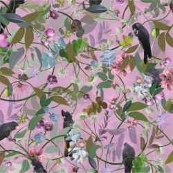 australian forest cacophony pink